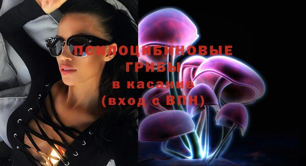 ешки Сафоново