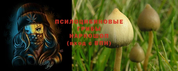 COCAINE Бородино