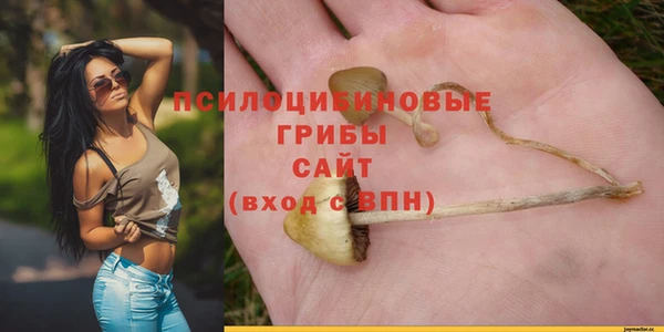 COCAINE Бородино