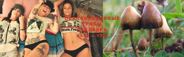 ешки Сафоново
